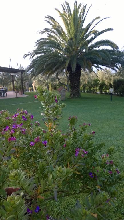 Agriturismo Valbona Villa กาส์ตีจลิโอเน เดลลา เปสกายา ภายนอก รูปภาพ